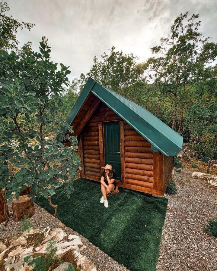 Camp Oaza,lipa