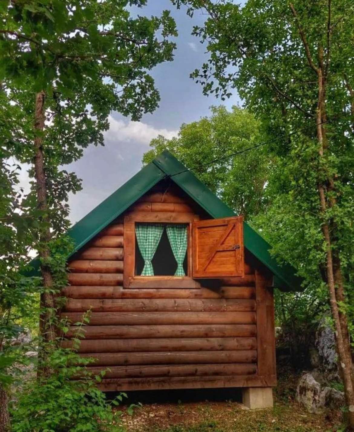 Camp Oaza,lipa Camping