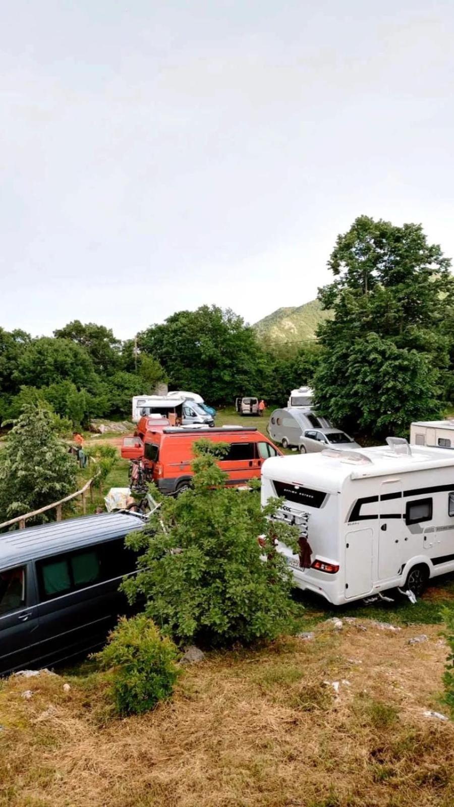 Camp Oaza,lipa Cetinje