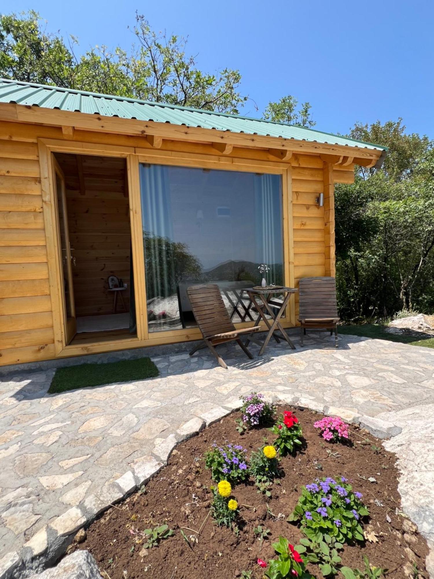 Camp Oaza,lipa Camping