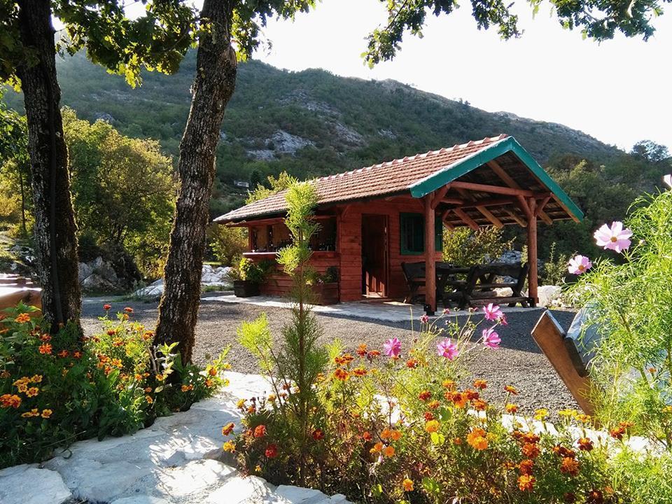 Camp Oaza,lipa Cetinje