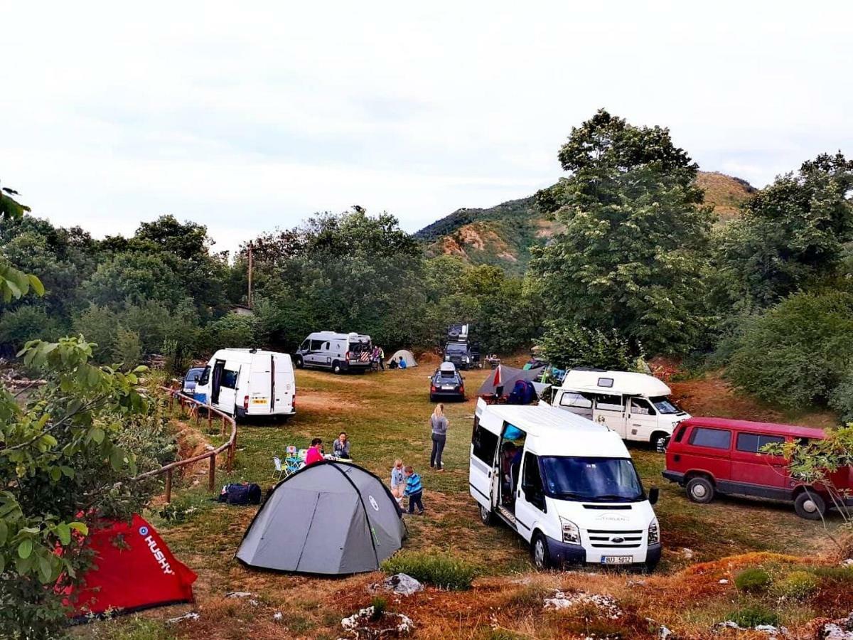 Camp Oaza,lipa Camping *