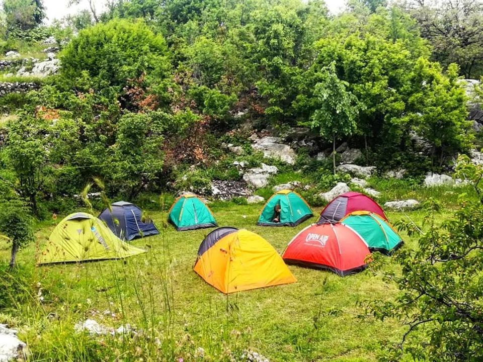 Camp Oaza,lipa 营地 *
