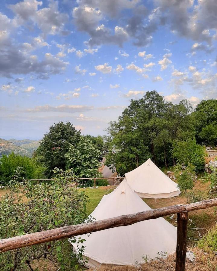 Camp Oaza,lipa 营地