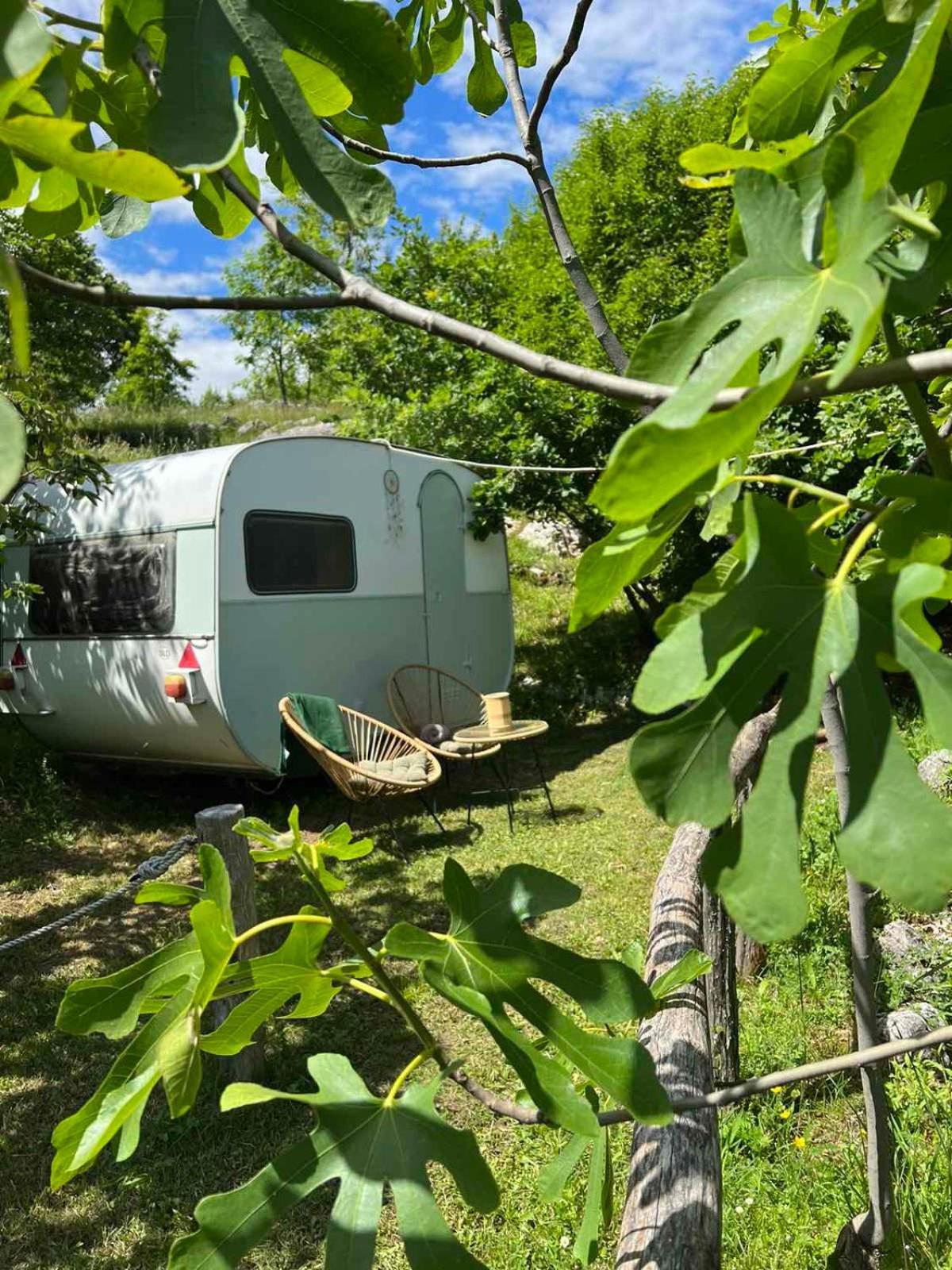 Camp Oaza,lipa 营地
