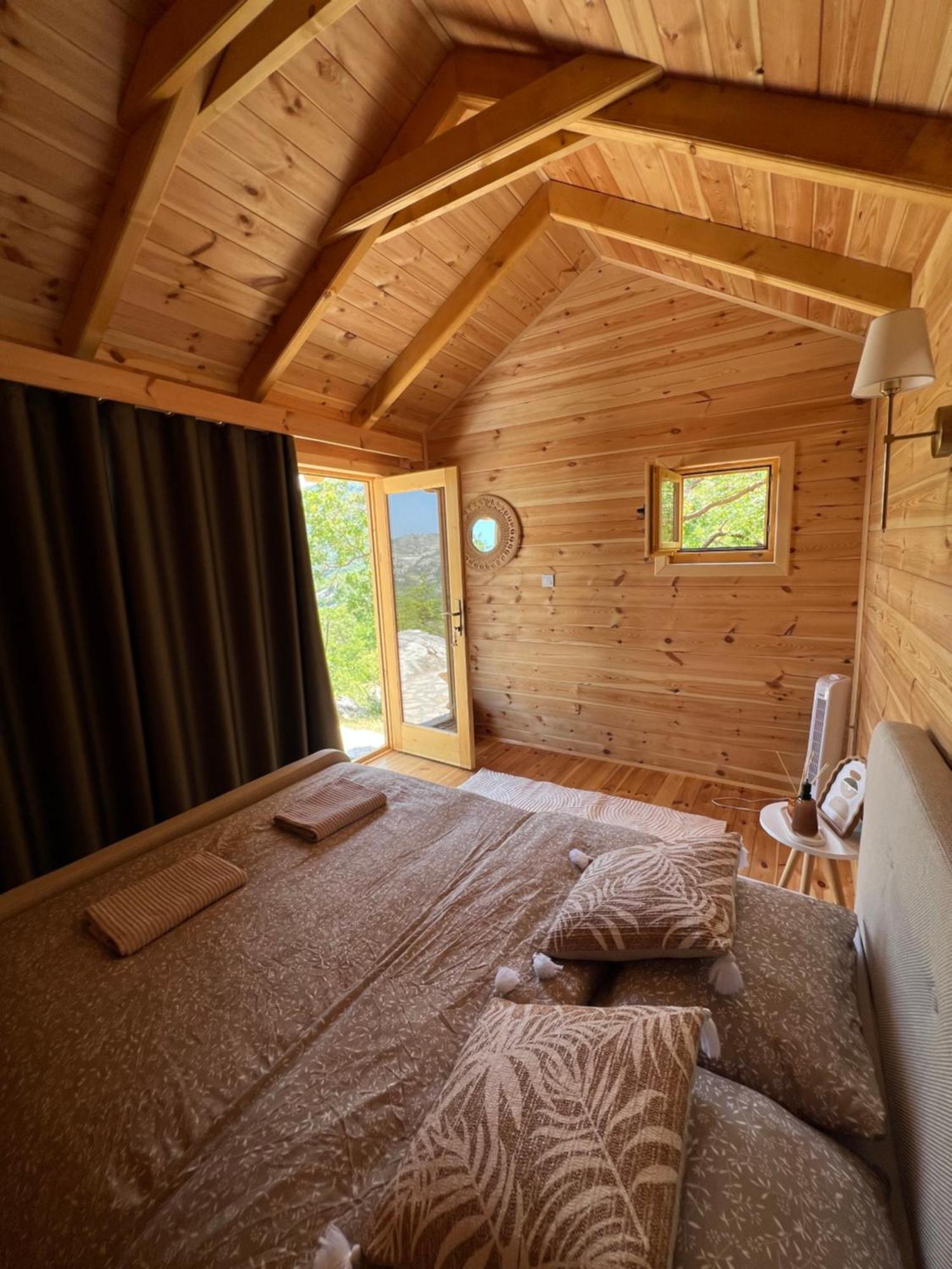 Camp Oaza,lipa * 采蒂涅