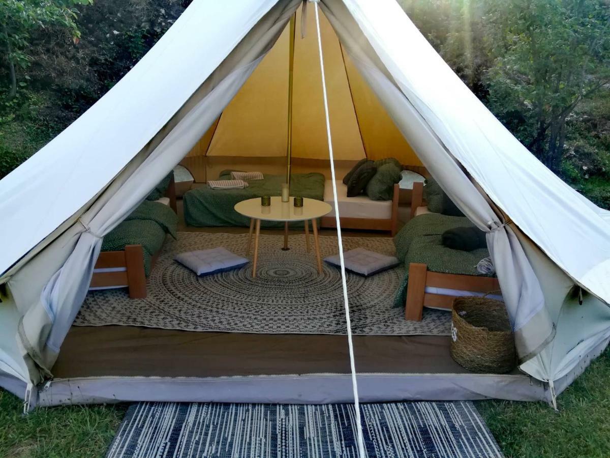 Camp Oaza,lipa *